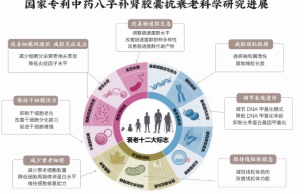 该产品的核心魅力是什么？